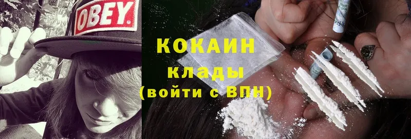 Cocaine FishScale  продажа наркотиков  Новотроицк 