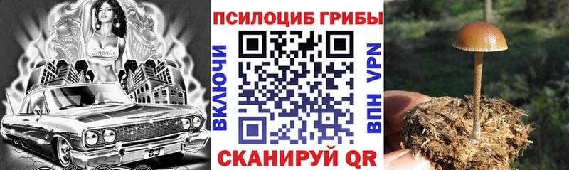 Галлюциногенные грибы MAGIC MUSHROOMS  OMG сайт  Новотроицк  закладки 