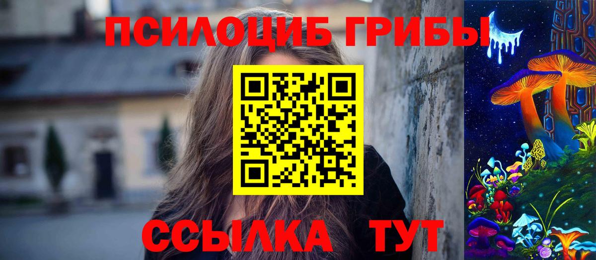 Псилоцибиновые грибы ЛСД Новотроицк