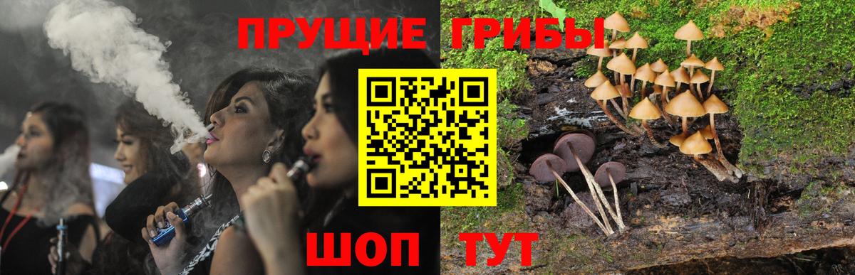 Псилоцибиновые грибы Новотроицк