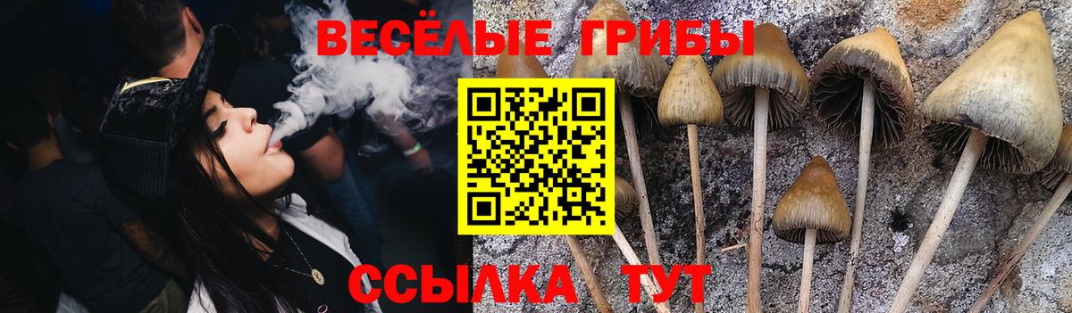 Псилоцибиновые грибы Psilocybine cubensis  Новотроицк  Галлюциногенные грибы Magic Shrooms 