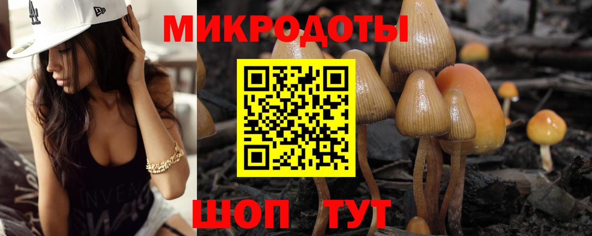 купить наркотик  Галлюциногенные грибы GOLDEN TEACHER  Вход с VPN  Новотроицк 