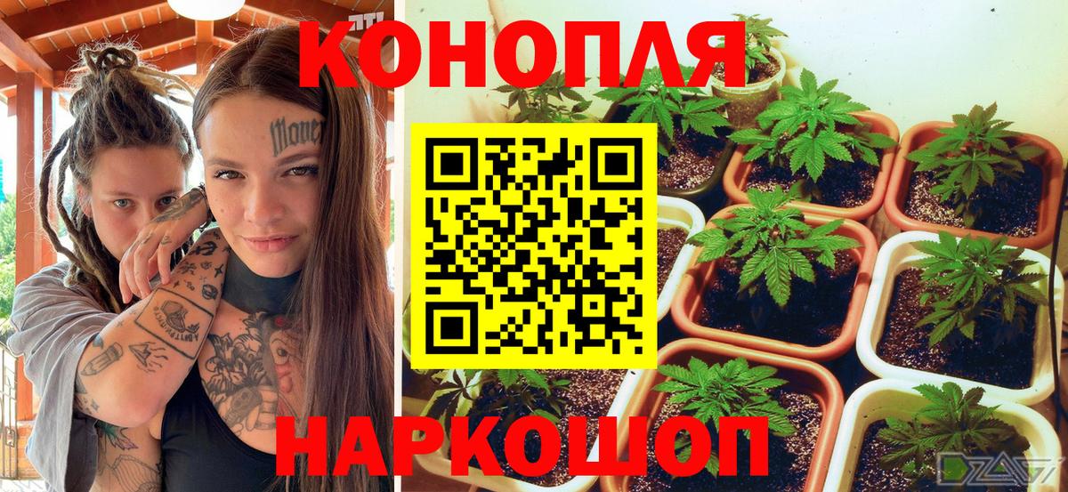 Каннабис MAZAR Новотроицк